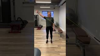 Shoulder Rehab  PNF D2 Flexion [upl. by Anneg]