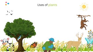 Uses of plants use of plants uses of plants for kids plants and their uses plant give us [upl. by Licko]