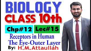 Receptors in humanThe EyeOuter layer  Chapter  12  Biology Class 10th  Lec15 [upl. by Clynes33]