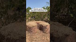 Keyhole garden easy farm composting diy renatasridhar noprobleminindia indianvillage tamilnadu [upl. by Ammon]