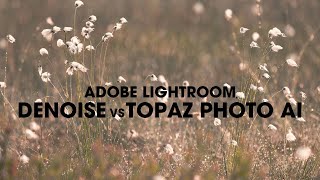 Comparison Between Adobe Lightroom Denoise And Topaz Photo Ai Which Is The Winner [upl. by Marzi522]