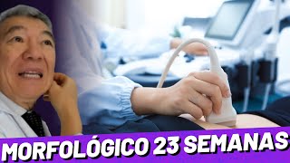 MORFOLÓGICO DE 23 SEMANAS [upl. by Gerger]