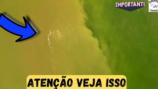 ATENÇÃO CASO BRASKEM EM MACEIÓ ALAGOAS BRASIL 🇧🇷🆘 [upl. by Relly]