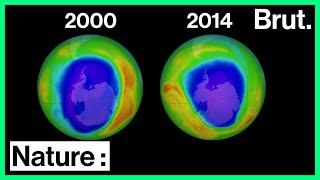 Couche dozone  Histoire dune successstory environnementale [upl. by Safier]