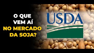 O QUE VEM AÍ NO MERCADO DA SOJA [upl. by Dlareg]