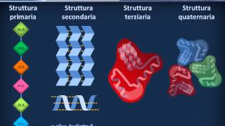 Citologia 08  Proteine [upl. by Carlye]