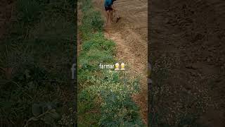 punjabi punjabisong song newsong music automobile kishanlife shortvideo kisan farmer [upl. by Idolah954]