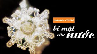 Sách Nói Bí Mật Của Nước  Chương 1  Masaru Emoto [upl. by Urdna509]