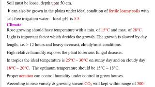 Protected Cultivation of Rose by Prof A C Jadhav [upl. by Tdnaltroc]