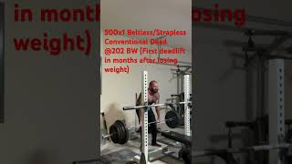 500x1 Beltless Strapless Conventional Deadlift [upl. by Sauers]