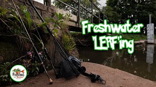 Multi Species Fishing with Micro Lures  LRF Style Fishing [upl. by Annim]