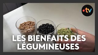 Les bienfaits des légumineuses [upl. by Shiff]