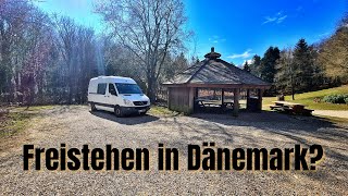 FreistehenWildcampen in Dänemark  geht das [upl. by Adoc]