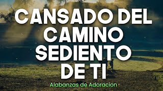 CANSADO DEL CAMINO SEDIENTO DE TI  ADORACIONES Y ALABANZAS PODEROSAS PARA ORAR  ALABANZAS 2023 [upl. by Nichole]