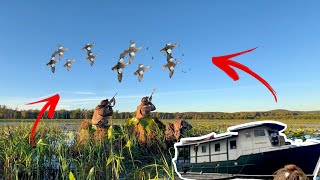 Duck Hunting HOUSEBOAT FULL FILM Catch Clean Cook [upl. by Neelyahs]