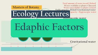 Edaphic Factors Soil  Soil formation Soil Horizons Soil Texture Soil Types  Important Terms [upl. by Bohon]