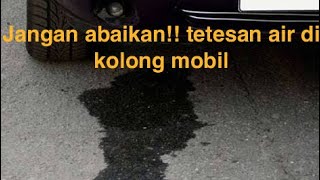 Tetesan air di kolong mobil Bahaya atau tidak [upl. by Knobloch138]