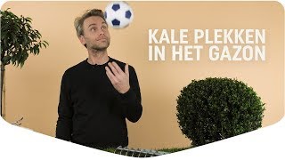 Kale plekken in gazon herstellen  Zo los je het op  Pokon [upl. by Teerell232]