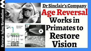 Dr Sinclairs Co Presents Groundbreaking Data On AGE REVERSAL To RESTORE VISION Via Reprogramming [upl. by Otreblada]