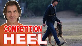 How to Teach Competition Focused Heel to Your Dog [upl. by Ninetta]