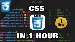 Learn CSS in 1 hour 🎨 [upl. by Pry]