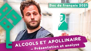 Alcools dApollinaire  présentation du recueil biographie modernité poétique  Bac français 2025 [upl. by Theadora]