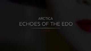 Arctica  Echoes of the Edo Ambient Drone Meditative [upl. by Oigimer400]