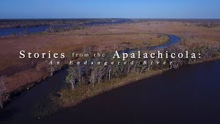 Stories from the Apalachicola An Endangered River [upl. by Solon]