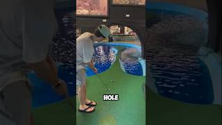 Could You Score a HoleinOne for a Lifetime Pass shortsfeed shortvideo shorts [upl. by Tebzil]