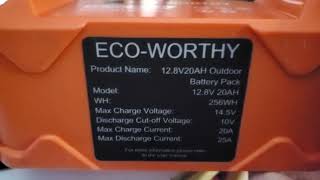 Tenergy 128V20Ah vs EcoWORTHY 128V20Ah LIFEPO Btteries [upl. by Nedak416]