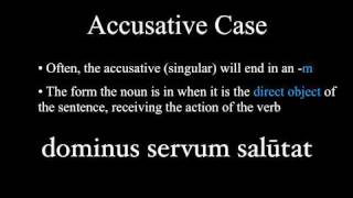 The Nominative and Accusative Cases [upl. by Haleeuqa]