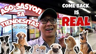 Best Pet Shop In the Philippines 🇵🇭  Tiendesitas Pet Shop 🐕  Tiendesitas Dog Shop 🐩  Dog Lover ❤ [upl. by Akoyin]