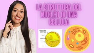 LA STRUTTURA DEL NUCLEO  CELLULA EUCARIOTE [upl. by Justina92]