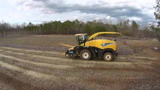 Demo of Harvest for Biofuels with Coppicing of Poplar Trees [upl. by Certie]