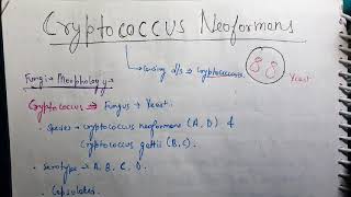 Cryptococcus neoformans Microbiology [upl. by Anitsirt]