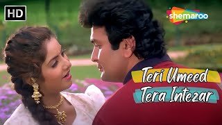 Teri Umeed Tera Intezar Karte Hain  Divya Rishi Kapoor  Kumar Sanu Romantic Hit Songs  Deewana [upl. by Sheeran179]