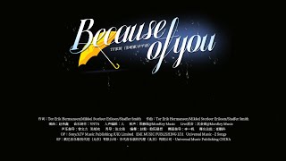 【TRANSFORMPROJECT】「登陆日」《Because of you》｜Pure Version [upl. by Nrubliw]