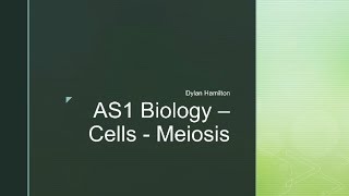 AS1 Biology Meiosis Revision Video [upl. by Ardnuek]