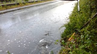 Draining HUGE Dangerous Puddle On Main Road  EPIC Gurgling Sounds [upl. by Kieger709]