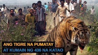 Ang Pinakakinatatakutang Tigre sa Kasaysayan na Pumatay at Kumain ng 436 na Katao [upl. by Shaefer]