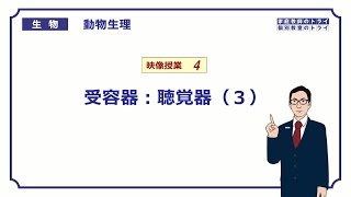 【高校生物】 動物生理4 受容器：聴覚器（３）（２２分） [upl. by Shaw]