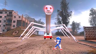 Sonic Ragdolls with THOMAS TRAIN ENGINE EXE in Garrys Mod [upl. by Mundford]