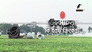 কি হচ্ছে ক্রিকেটে  Unmochon  উন্মোচন  ক্রিকেট বোর্ড অনুসন্ধান  Unmochon Report  Maasranga News [upl. by Melinde]