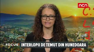 FOCUS  Interlopii de temut din Hunedoara [upl. by Crosse]