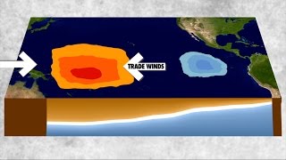 What is the difference between El Niño and La Niña climate patterns [upl. by Ahsienahs]