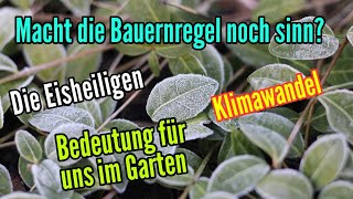 Die Eisheiligen gibt es die noch Klimawandel Ist diese Bauernregel noch sinnvoll für uns im Garten [upl. by Aniram]