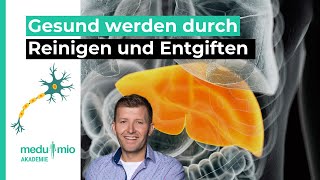 Darm und Leber Gesund werden durch Reinigen und Entgiften 🥗 Florian Sauer [upl. by Ioved]