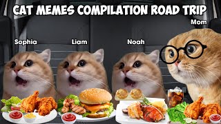 Cat Memes Compilation Road Trip [upl. by Leann]