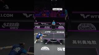 Best table tennis rally 💪🏓 pingpong tabletennis tenisdemesa [upl. by Ansev]