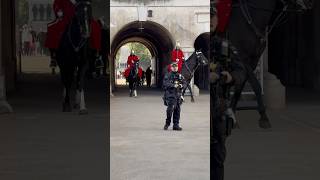 Best horsesroyalhorseguard horse tourist london viralvideo royalguards shorts [upl. by Kohler269]